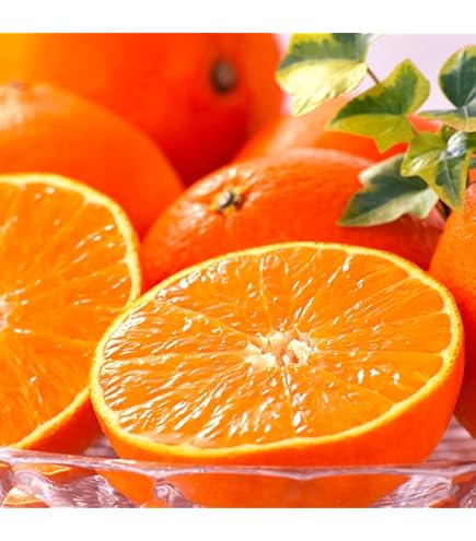 る〜はる☀︎さん専用 まどんな 紅マドンナ あいか 愛果28号 5キロ Amazon.co.jp: 愛媛まどんな アイカ (紅まどんな同品種) 3Lサイズ 大玉